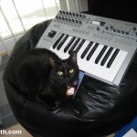Black cat Luna sitting on a beanbag chair with a small MIDI keyboard