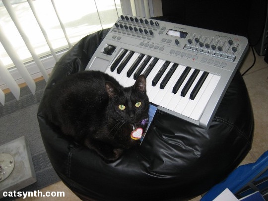 Black cat Luna sitting on a beanbag chair with a small MIDI keyboard