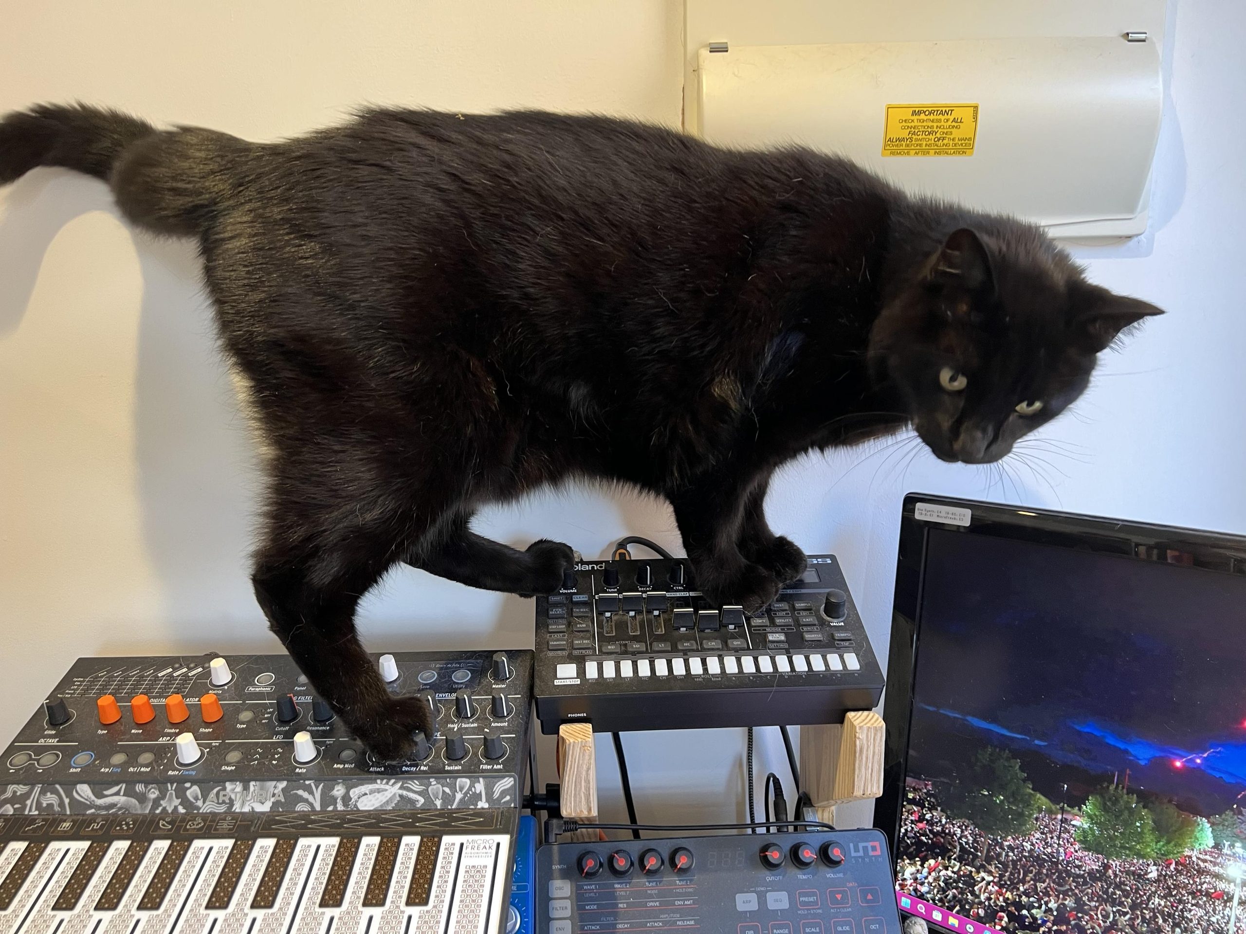 Moriarty, Arturia MiniFreak, Roland TR-6s