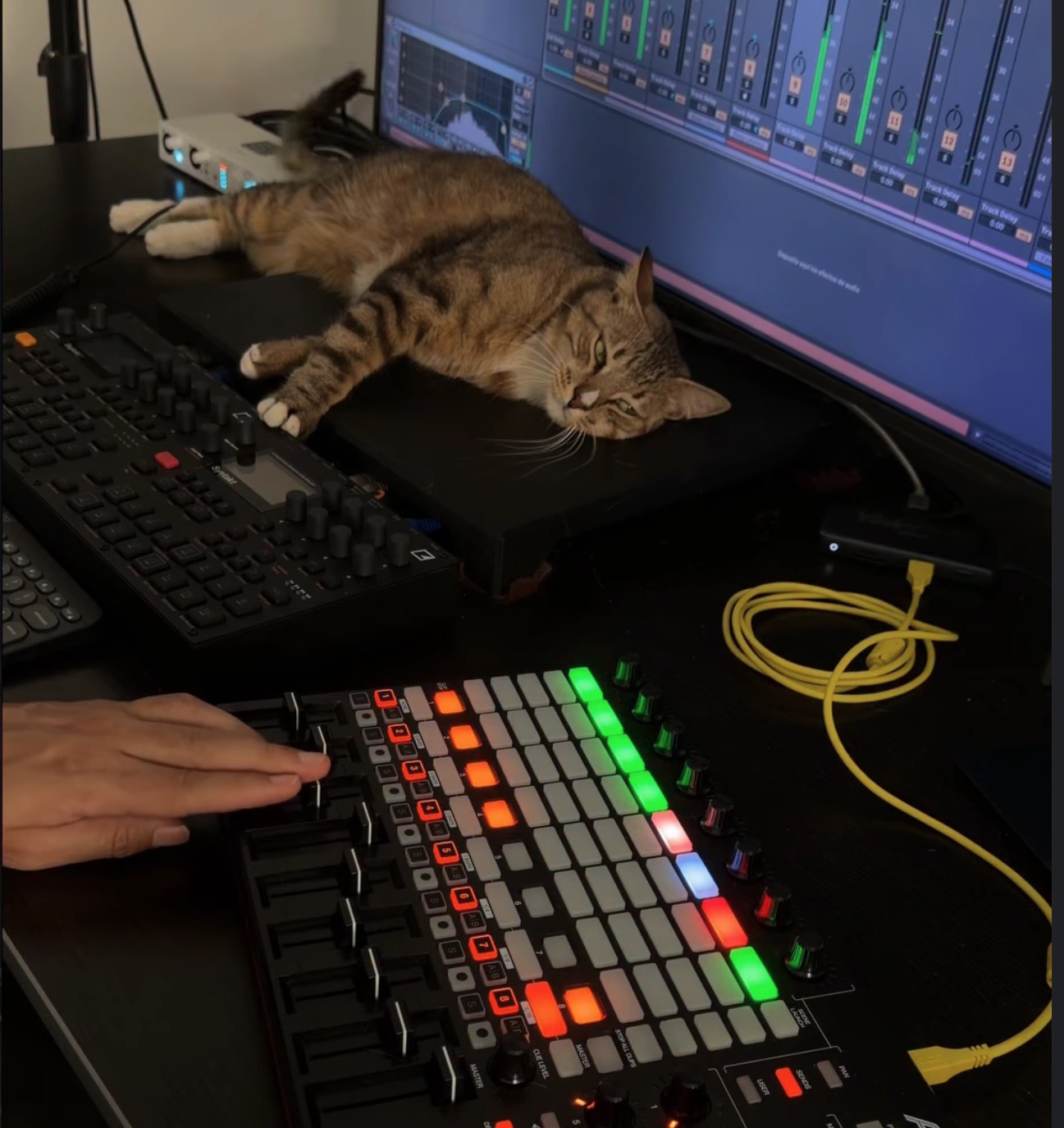 Ozzy, Akai APC40, Elektron