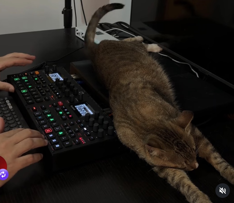 Digitakt II, Syntakt & Ozzy