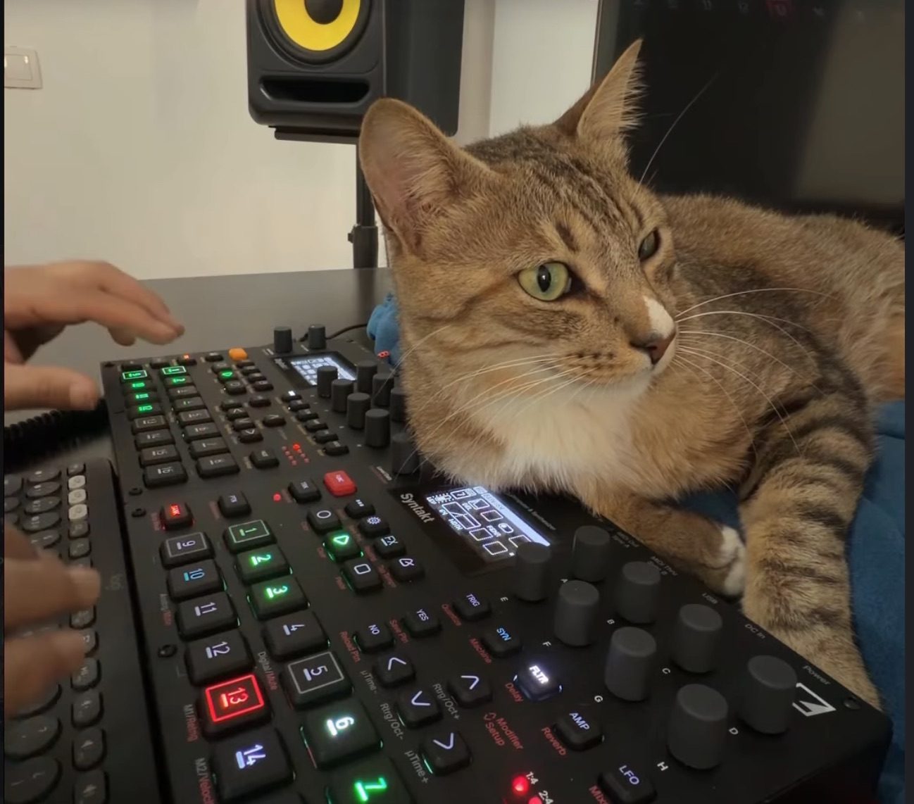 Ozzy, Digitakt, and syntakt