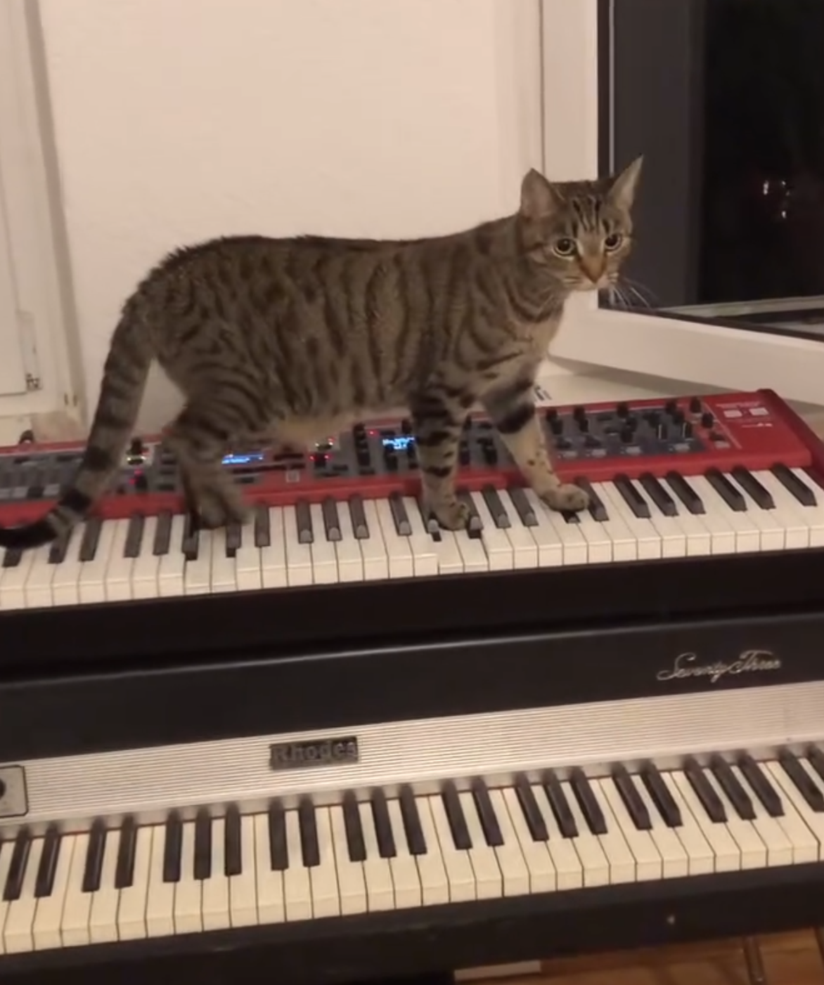 Walking Nord Improvisation