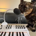 Tortie cat next to a vocoder synth and microphone