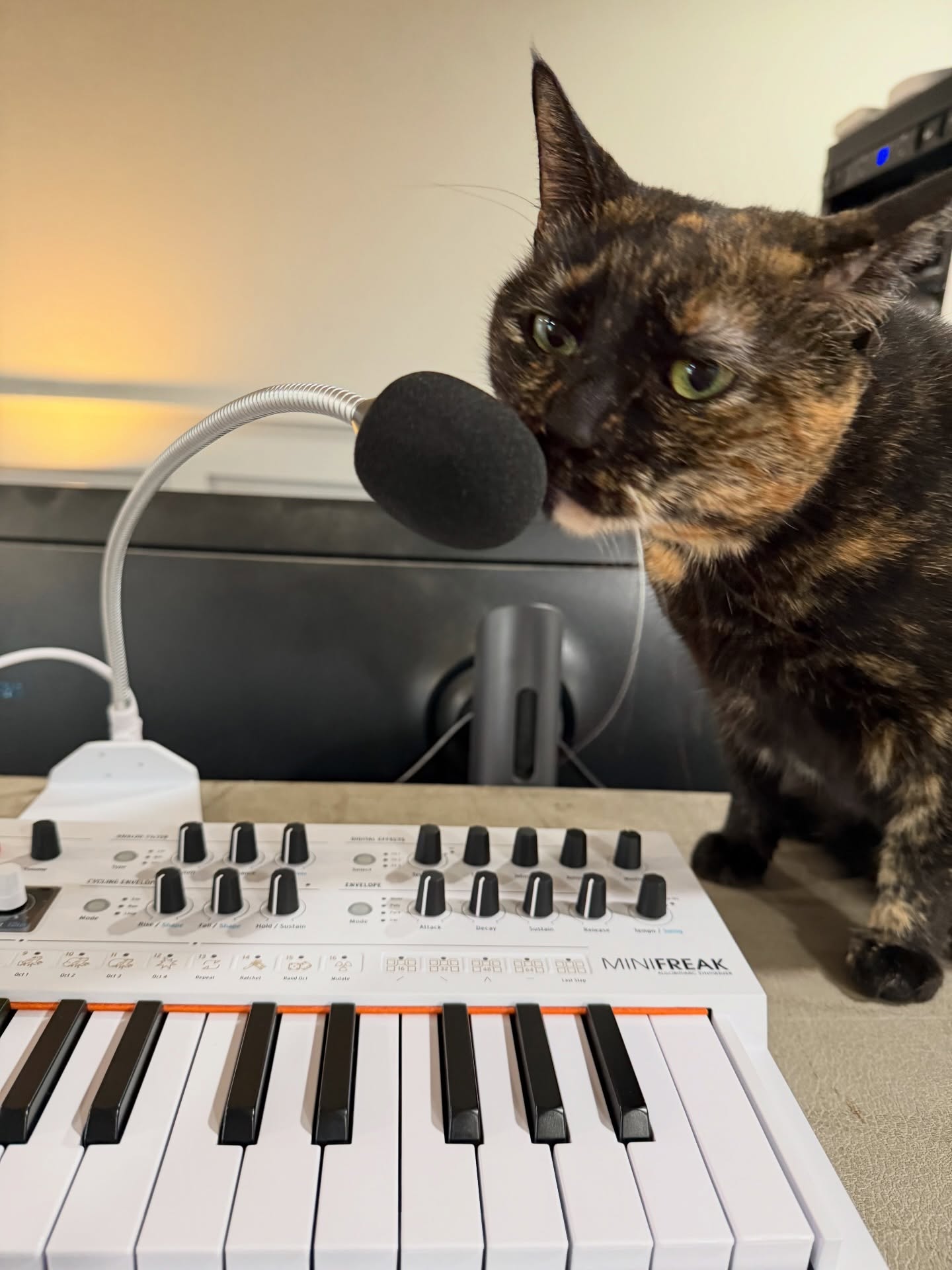 Chihiro and Arturia MiniFreak Vocoder