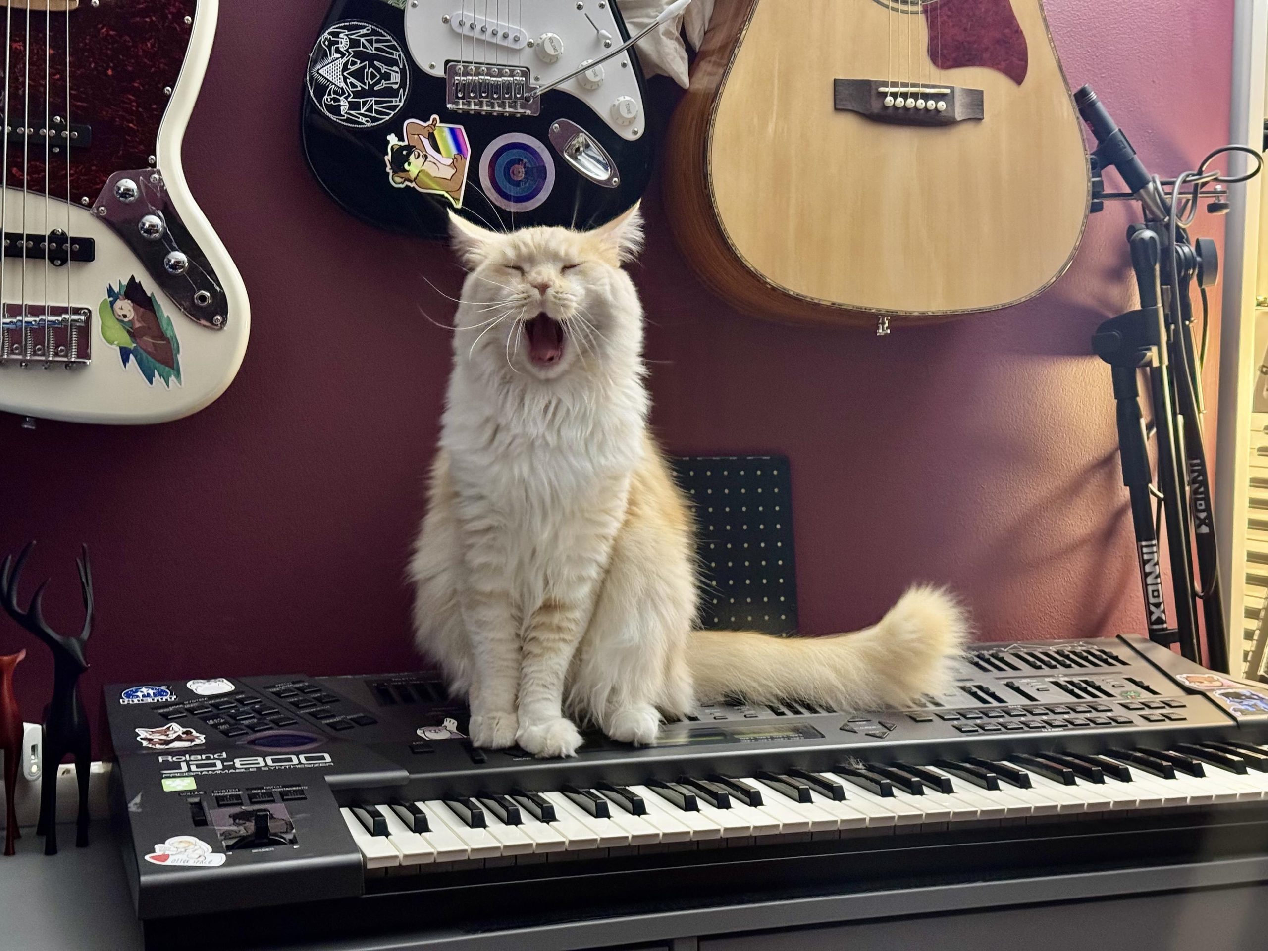 Pip and Roland JD-800