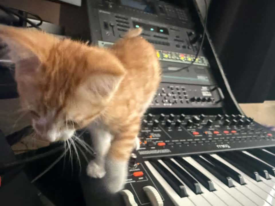 Octave, Moog, and Ensoniq