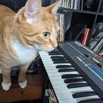 Orange cat with a Roland Juno-106 synth