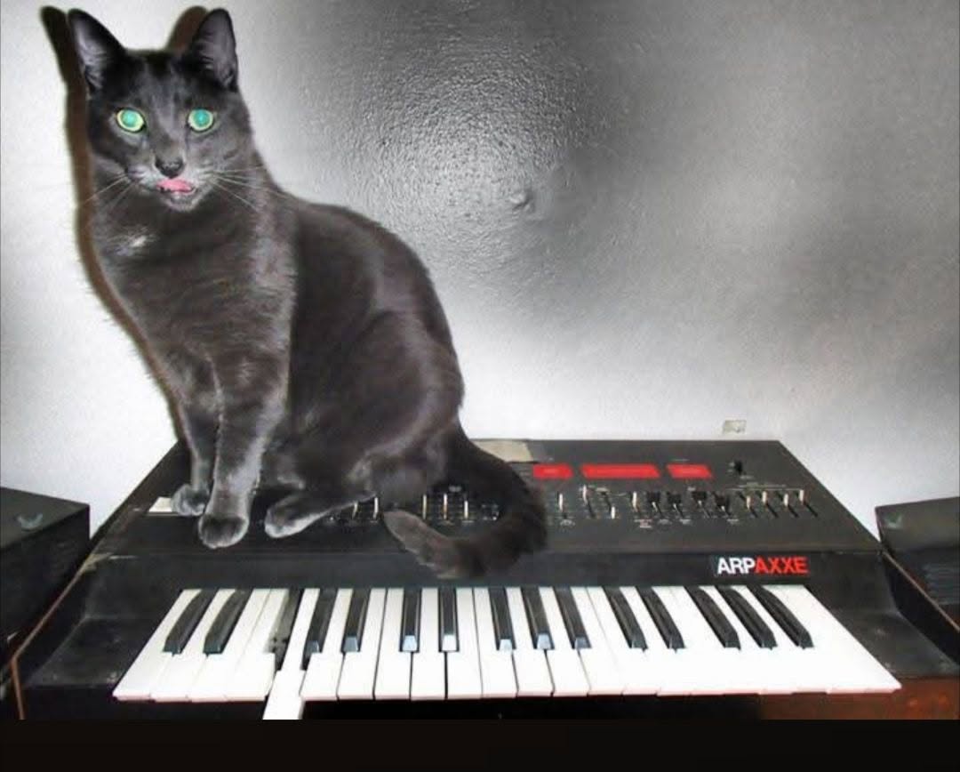 Fang and ARP Axxe