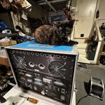 Small cat sitting on top of a vintage Synclavier II synthesizer. We see the back with the large fan and various I/O connections.