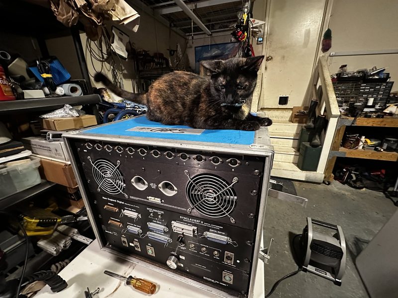 Small cat sitting on top of a vintage Synclavier II synthesizer.  We see the back with the large fan and various I/O connections.