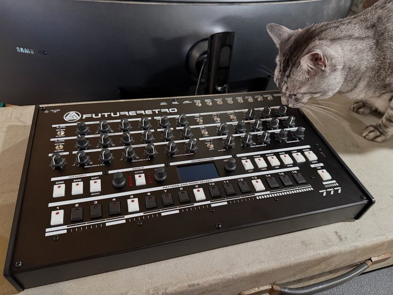 Cute gray tabby cat with a Future Retro 777 synthesizer.
