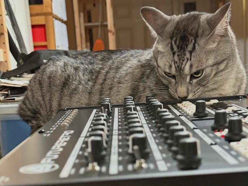 Cute gray tabby cat with a Future Retro 777 synthesizer.