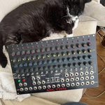 Older tuxedo cat sitting on a blanket next to an analog step sequencer module.