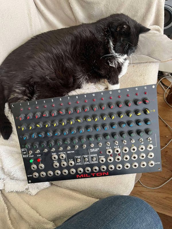 Older tuxedo cat sitting on a blanket next to an analog step sequencer module.