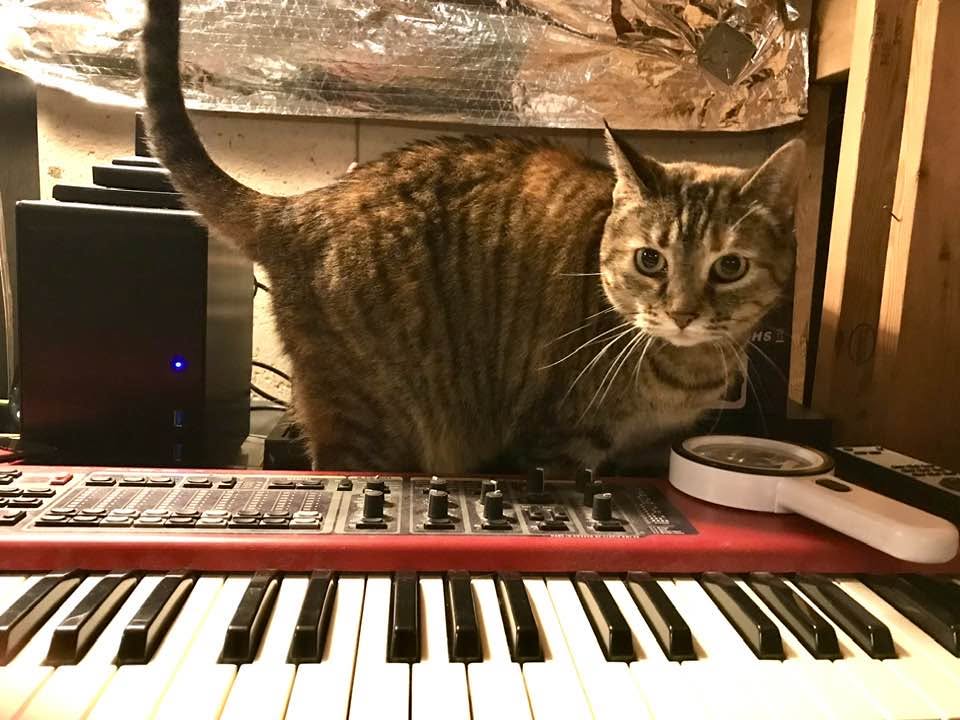 Rotini and Nord
