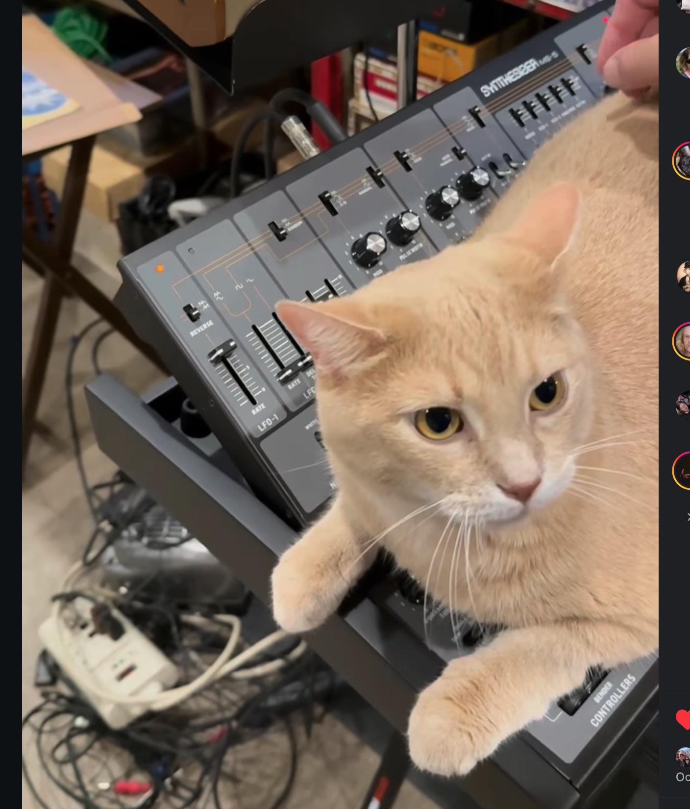 Graham, Behringer MS-5, microKorg