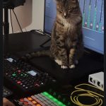 Blissed out tabby cat next to digital music production gear.