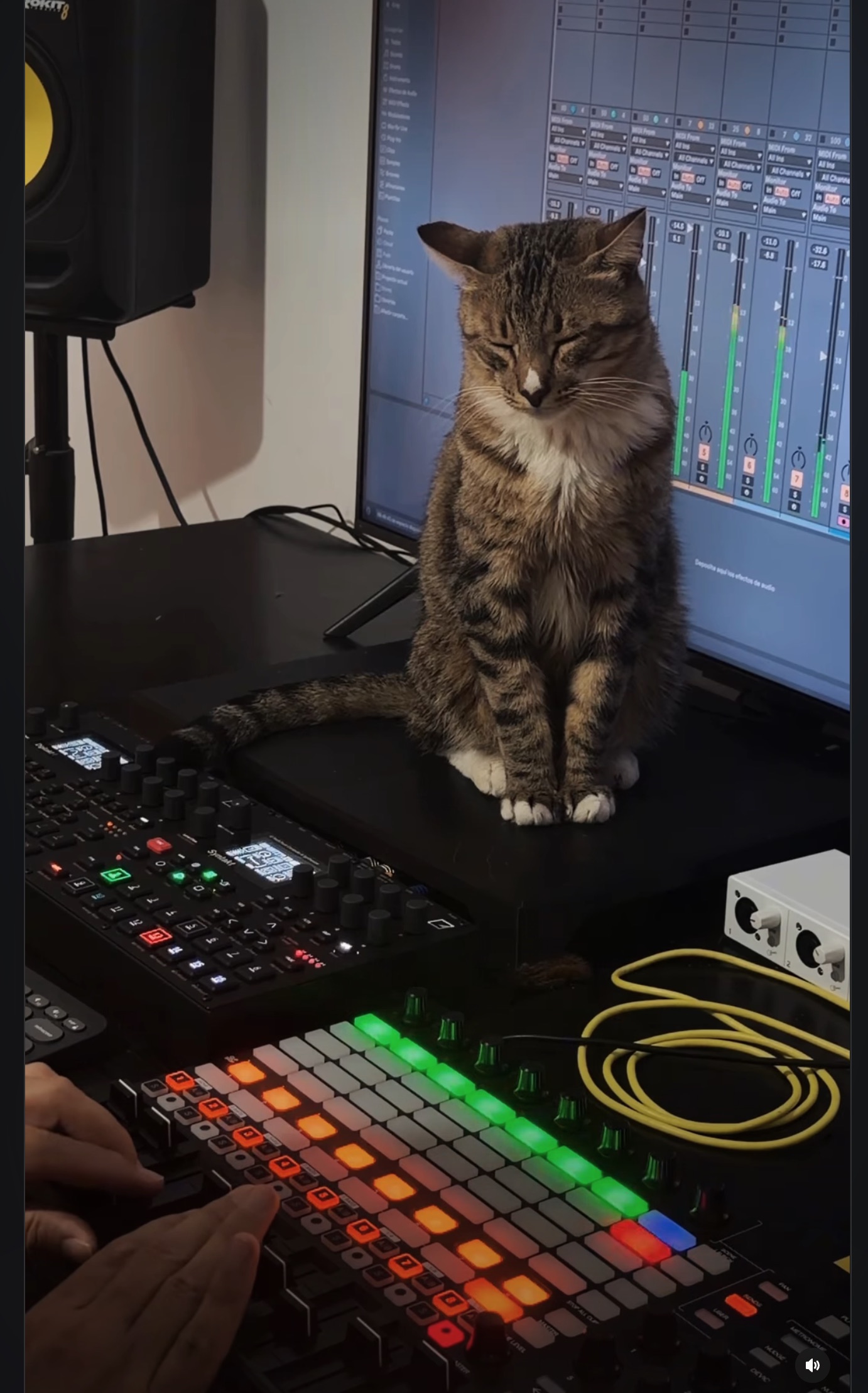 Ozzy, Syntakt & Digitakt, AKAI APC40