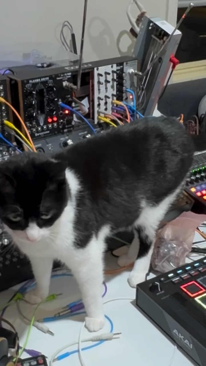 Inara, Akai MPC Live III, Moog, Modular