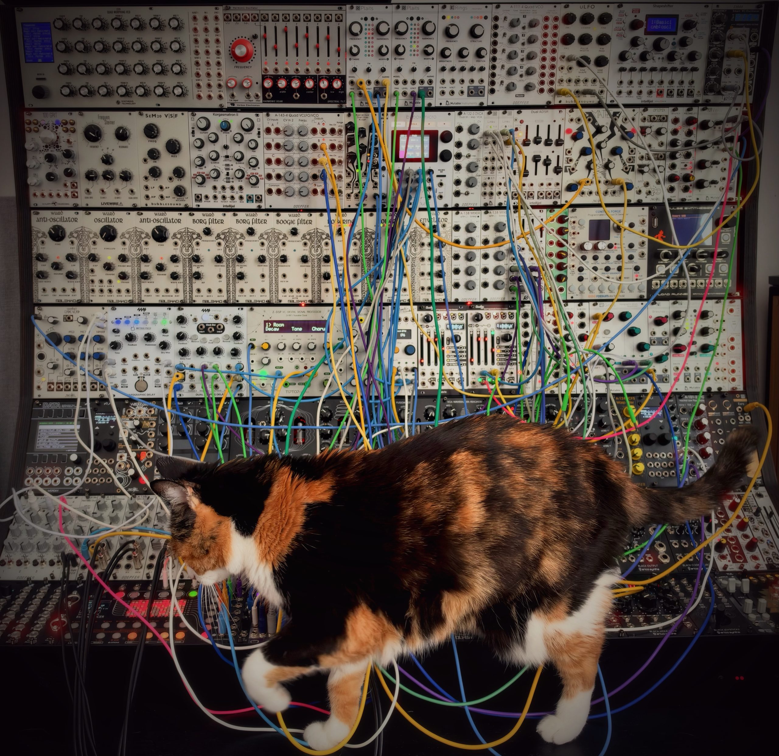 Pina and Modular